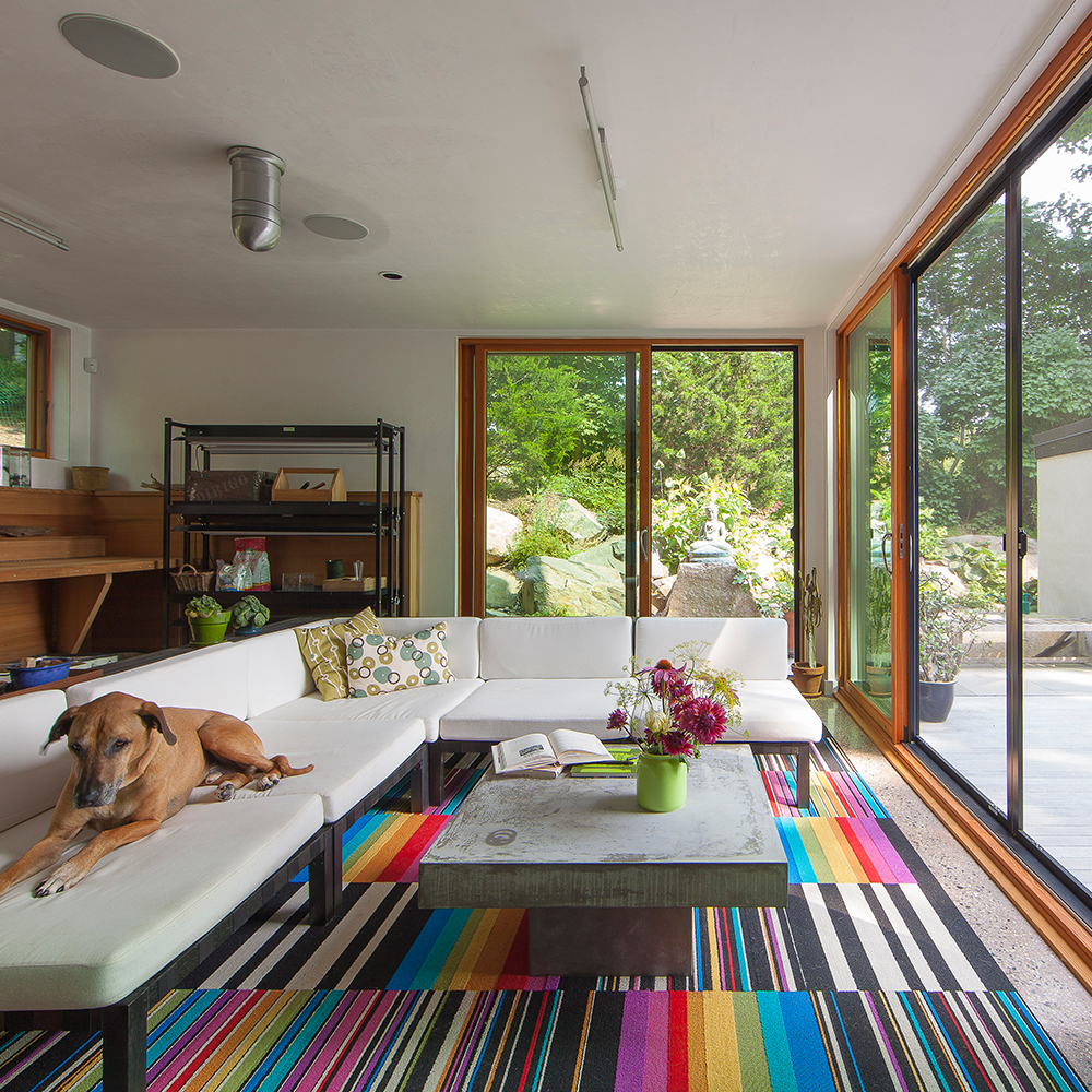 Interior of a modern living room in Wells, Maine with a large window, white sofa, striped rug, and a dog lying on the sofa. Bright outdoor view of rocks and plants.