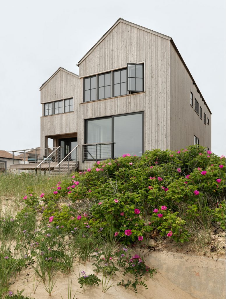 Modern beach house with large windows, set behind a dune covered in vibrant pink flowers, perfect for those considering custom homes.